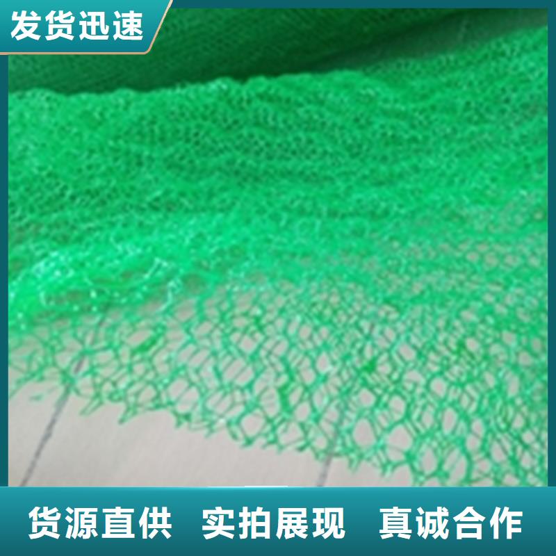 【三维植被网】土工布专业生产团队