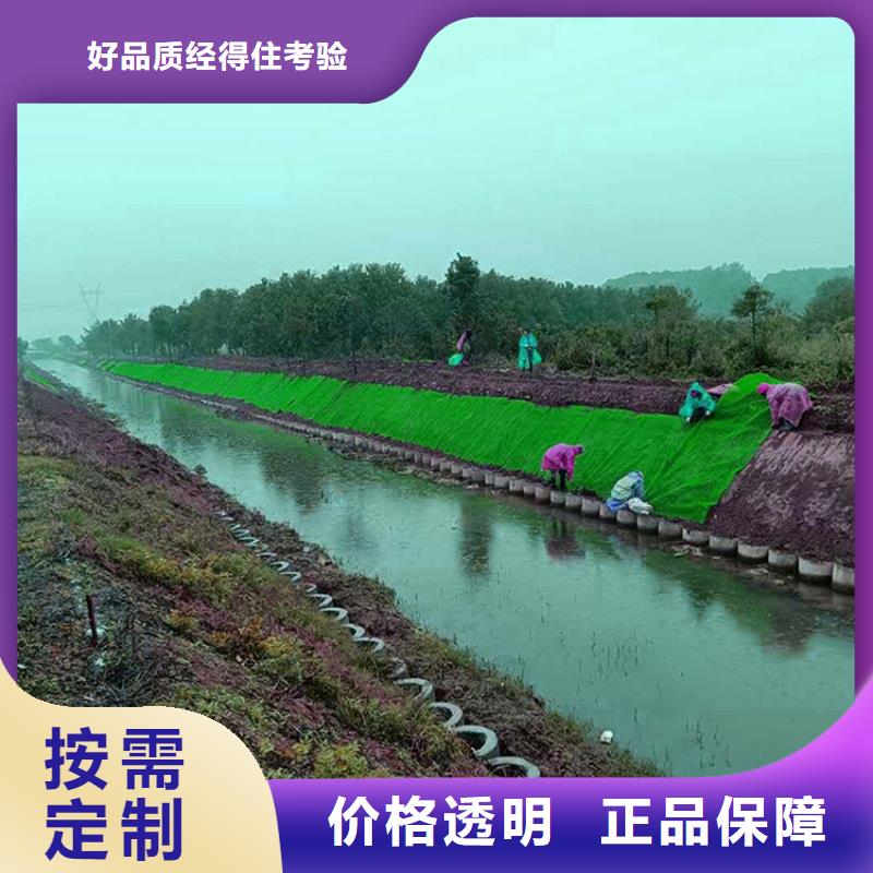 三维植被网土工布厂家案例