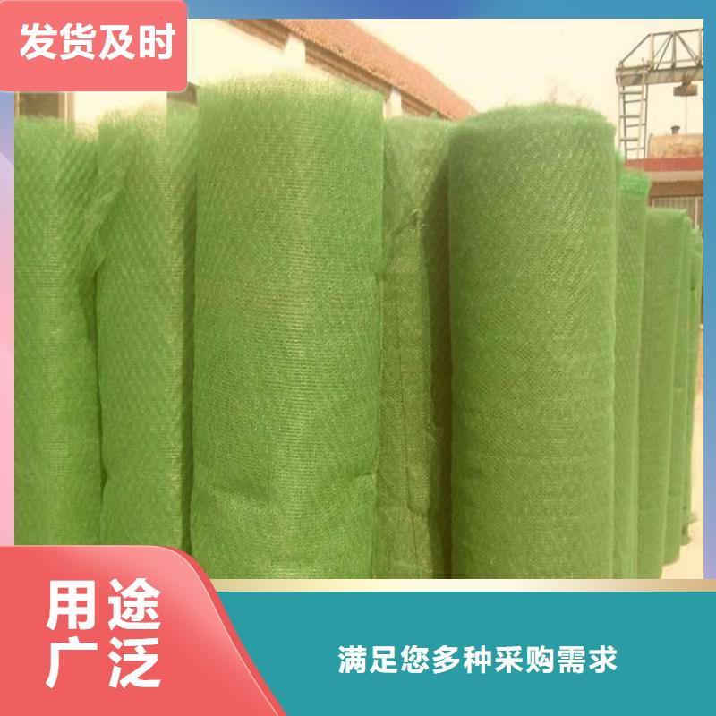三维植被网土工布厂家案例