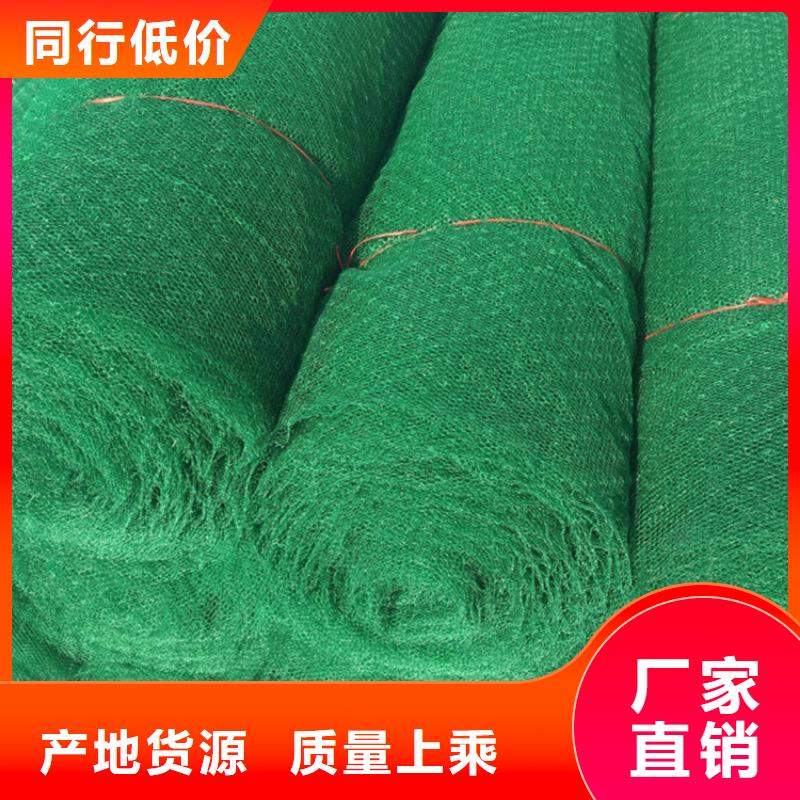 三维植被网生态袋超产品在细节