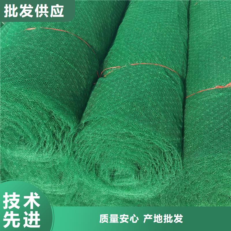 三维植被网【防草布】来电咨询