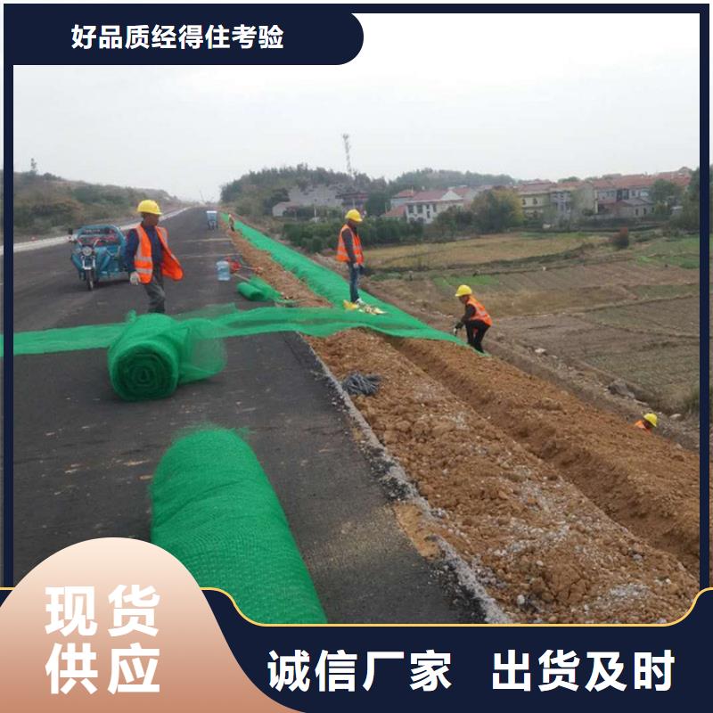 三维植被网HDPE土工膜严选好货