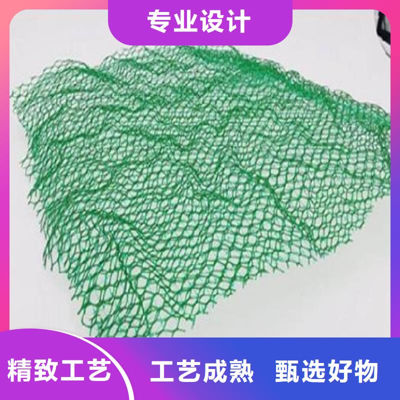 三维植被网土工布厂家案例