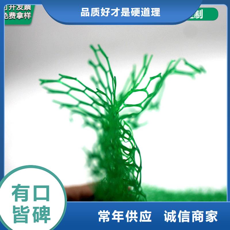 三维植被网HDPE土工膜严选好货