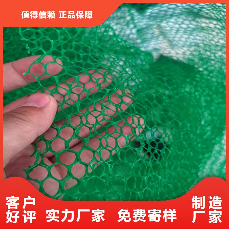 三维植被网【防草布】来电咨询
