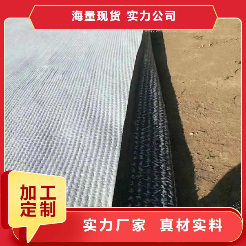 膨润土防水毯_土工膜常年供应
