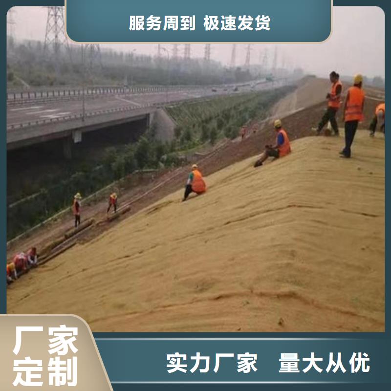 椰丝毯土工格栅快捷的物流配送