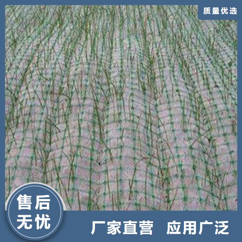 【椰丝毯,【防草布】产地直供】