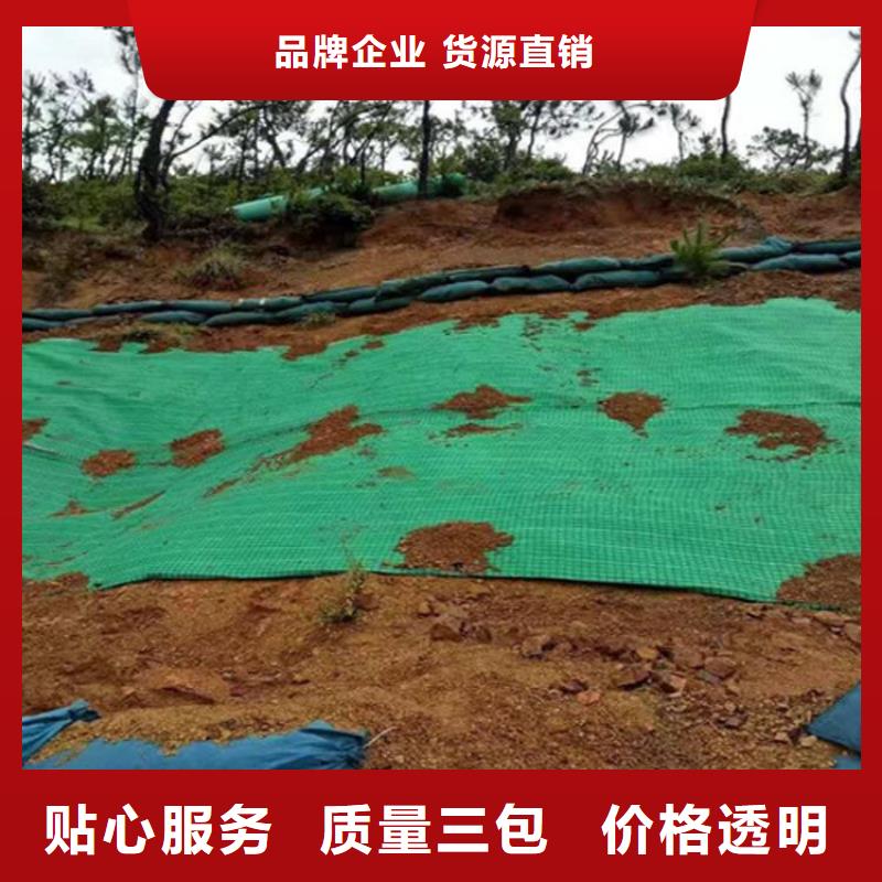 椰丝毯土工膜订制批发