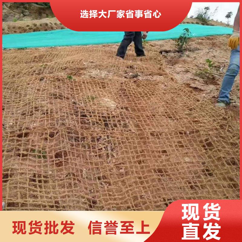 椰丝毯土工布实力工厂
