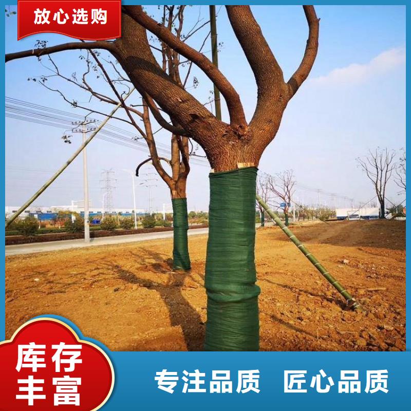 裹树布土工格栅质量三包