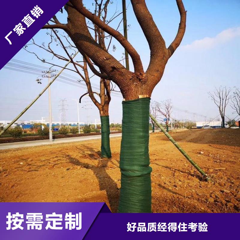 裹树布防渗膜品牌企业