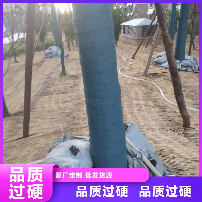 裹树布防渗膜品牌企业