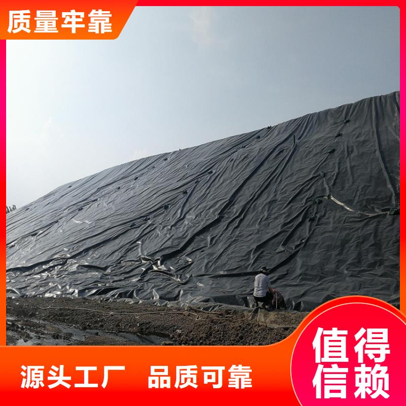 土工膜80KN玻纤格栅真材实料诚信经营