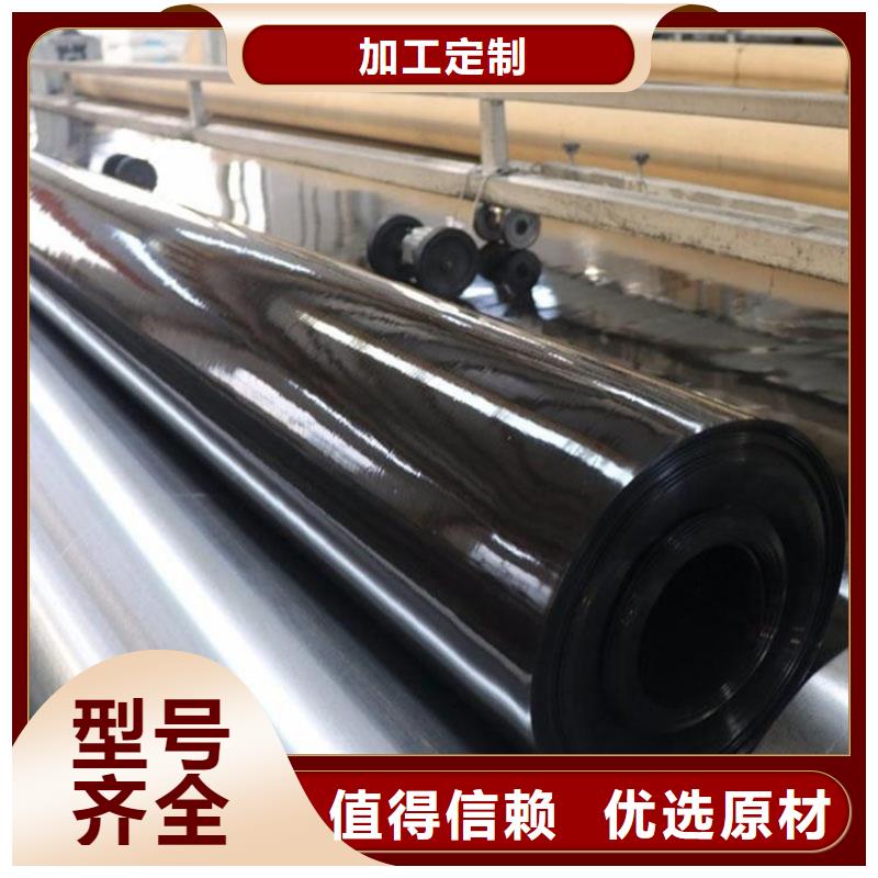 土工膜生态带定制销售售后为一体