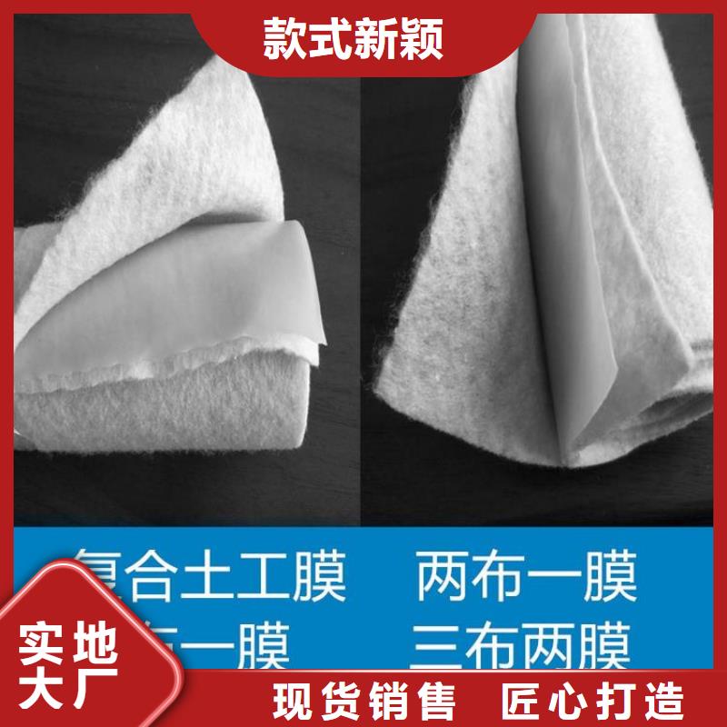 土工布土工格室专业生产N年