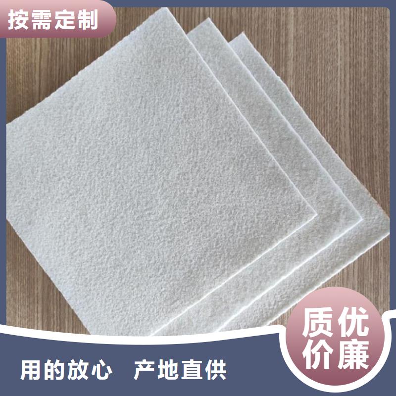 土工布聚丙烯长丝土工布用心经营