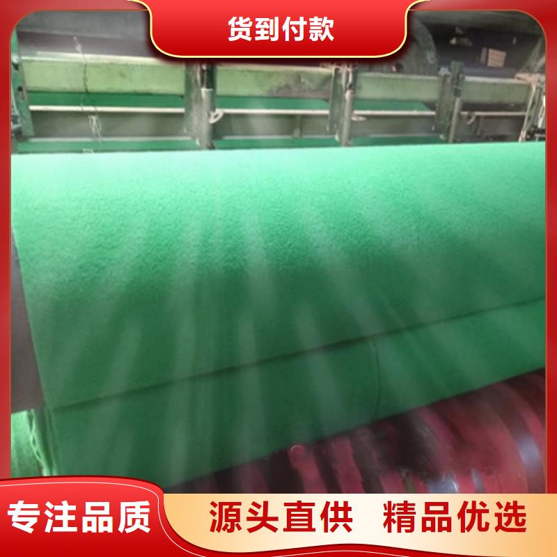 【土工布植草格精益求精】