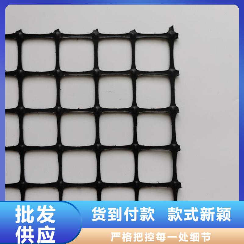 【土工格栅土工网款式新颖】