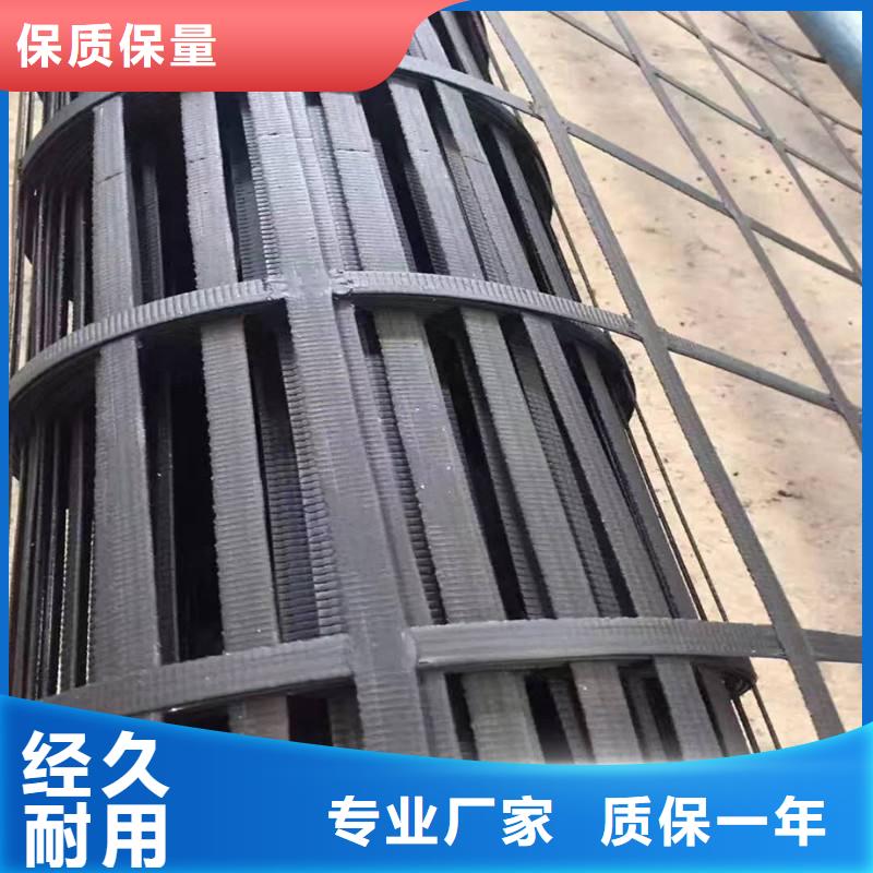 【土工格栅土工网款式新颖】