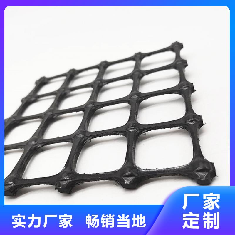 【土工格栅土工网款式新颖】