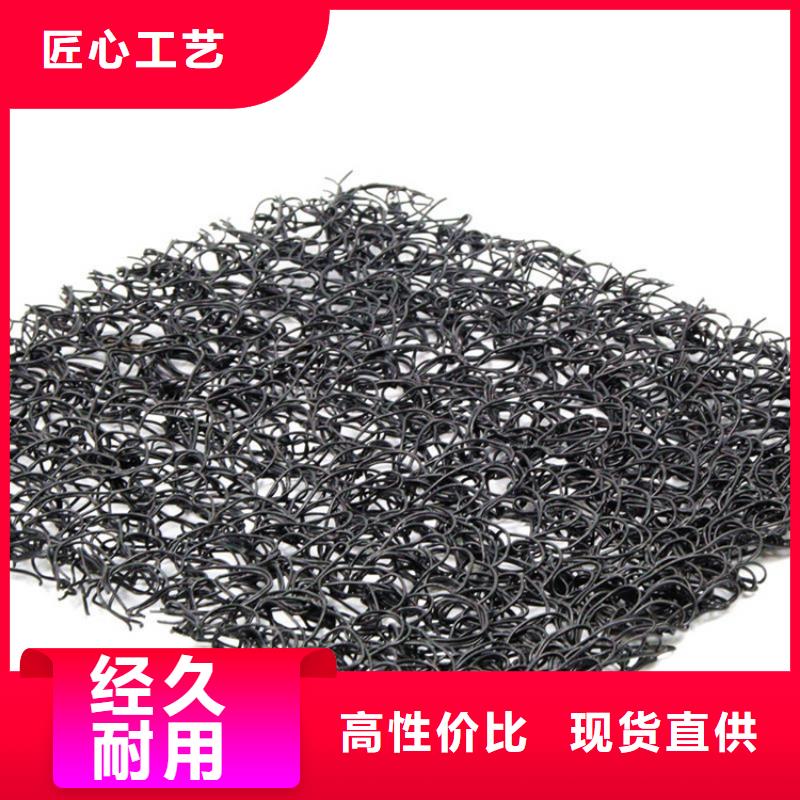 通风降噪丝网钢塑土工格栅专业信赖厂家