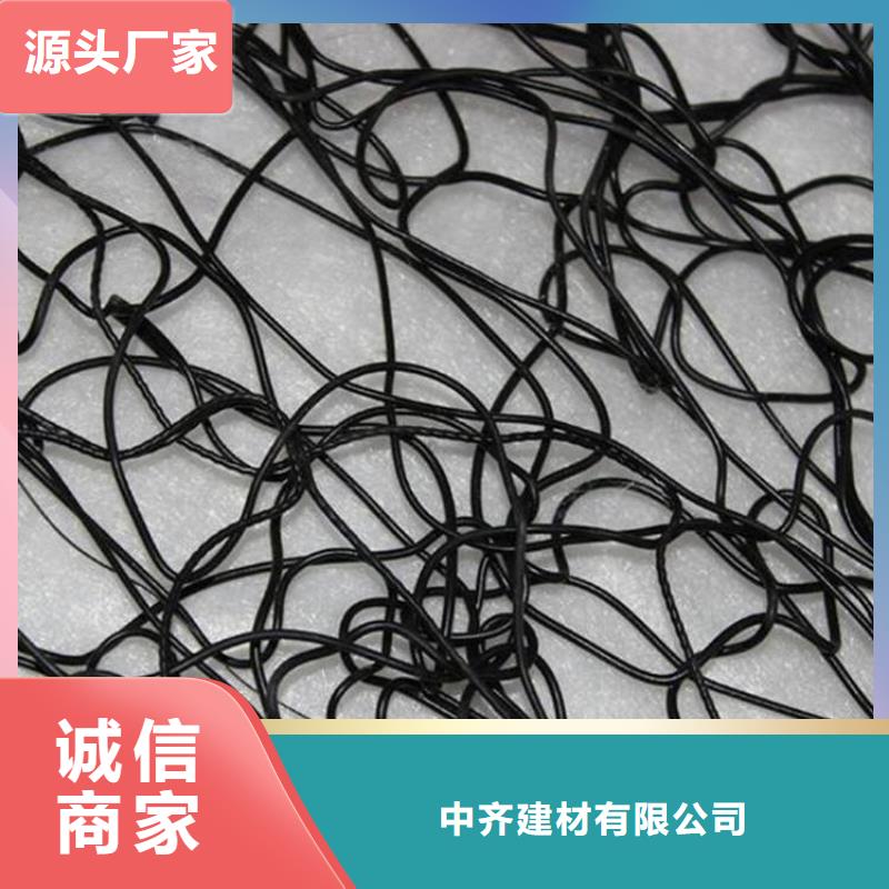 通风降噪丝网钢塑土工格栅专业信赖厂家