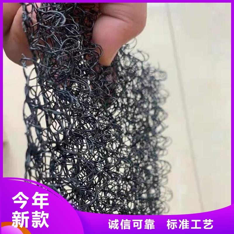 水土保护毯【双向土工格栅】研发生产销售
