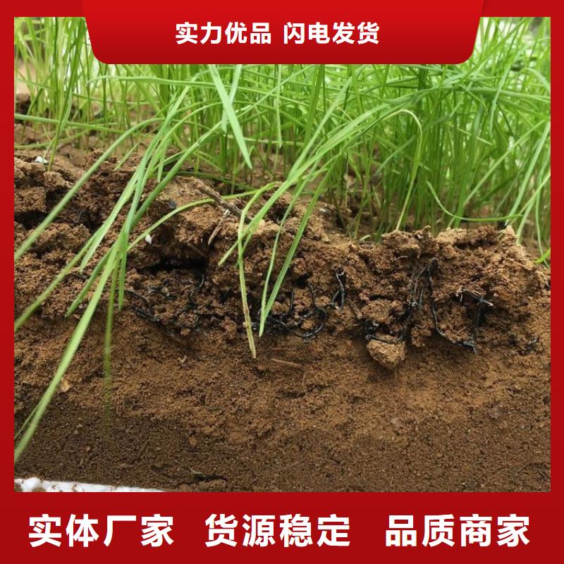 水土保护毯,软式透水管库存充足