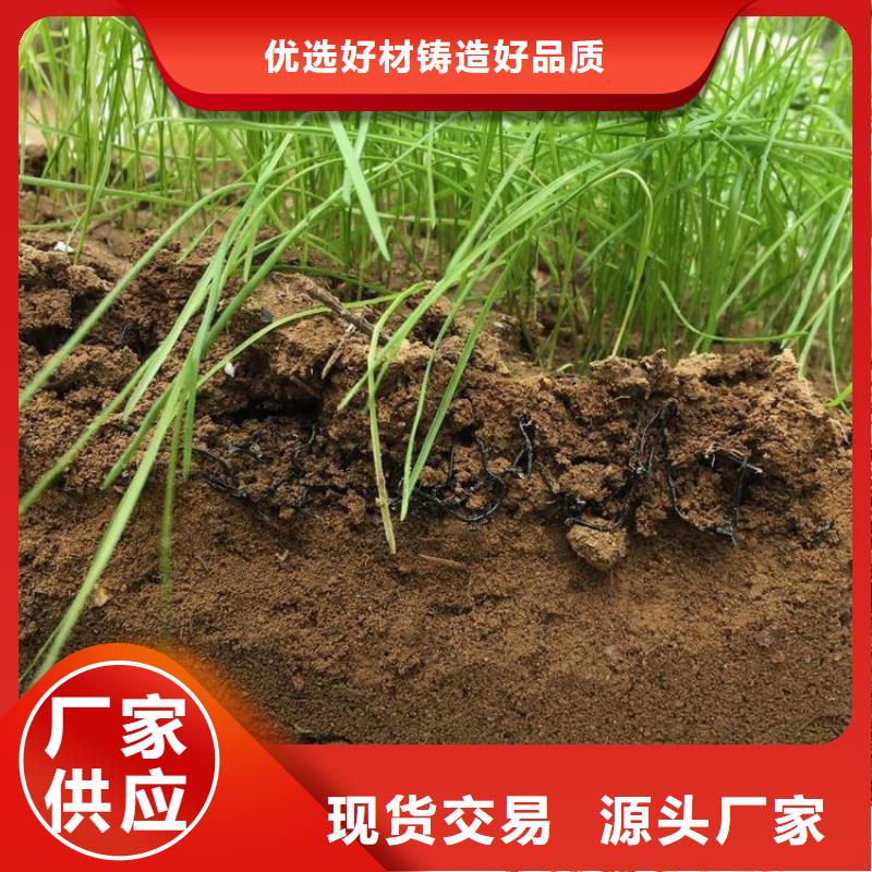 水土保护毯聚酯布一站式供应