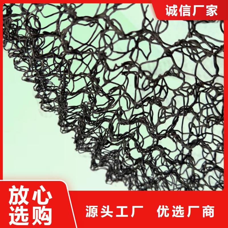 水土保护毯【双向土工格栅】研发生产销售