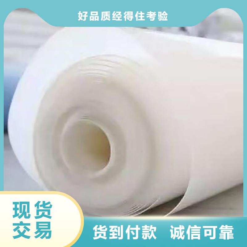【防水板_土工格栅现货供应】