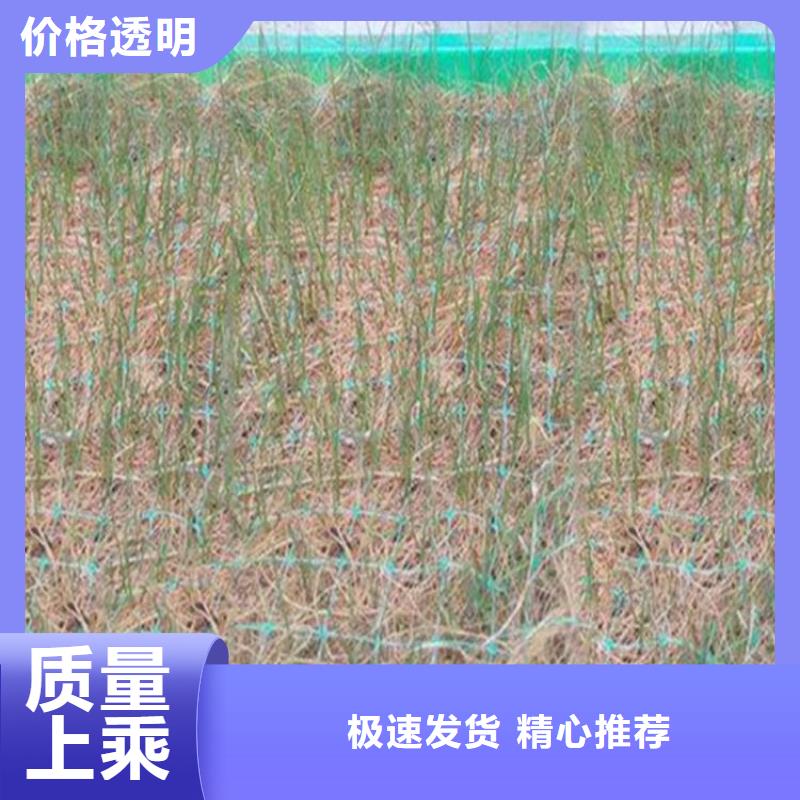 【椰丝毯】排水板闪电发货