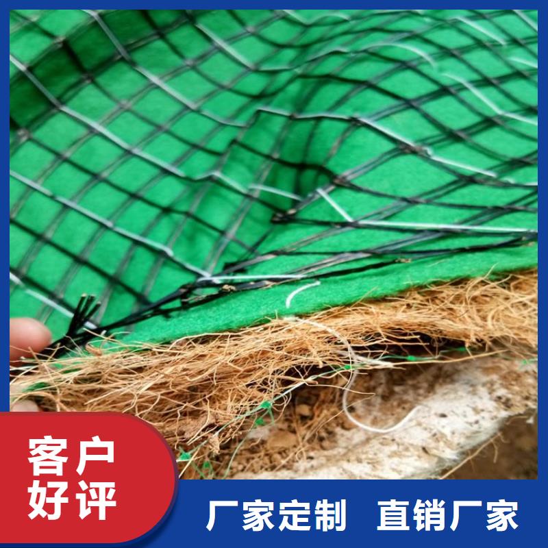 椰丝毯土工格栅欢迎来厂考察