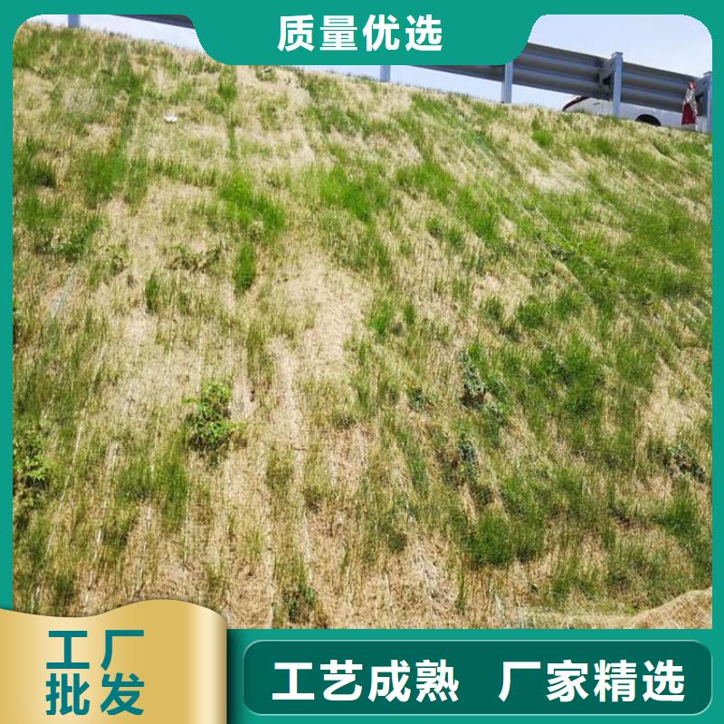 椰丝毯土工格栅厂家自营