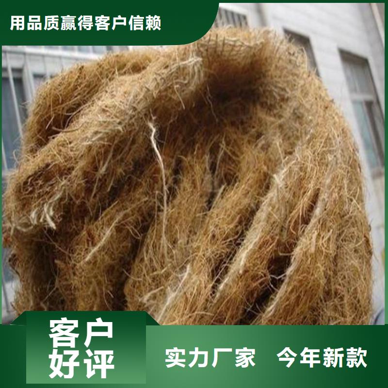 椰丝毯土工格栅厂家自营