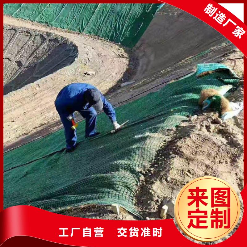 【椰丝毯】排水板闪电发货