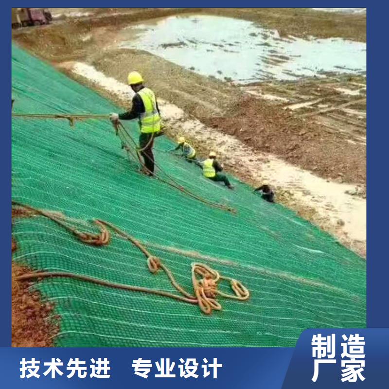 椰丝毯土工格栅厂家自营