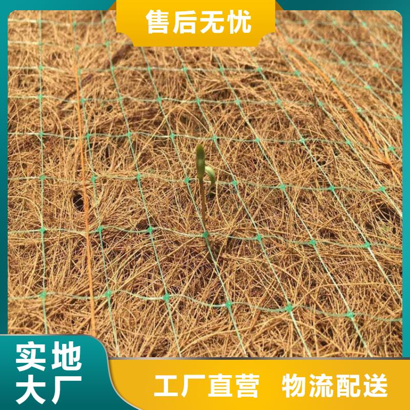 椰丝毯土工膜一致好评产品