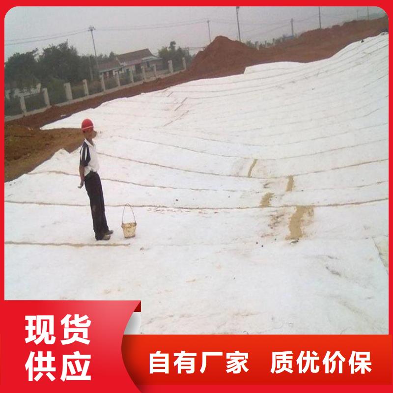膨润土防水毯土工膜多种工艺