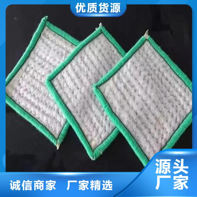 膨润土防水毯土工布专业的生产厂家