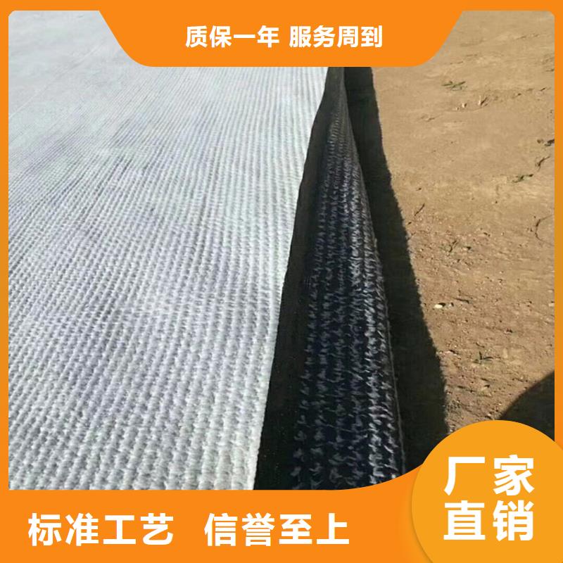 【膨润土防水毯编织布联系厂家】