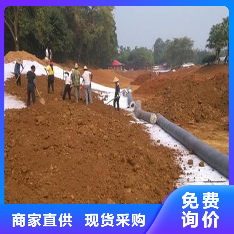 常德【当地】 膨润土防水毯一手货源