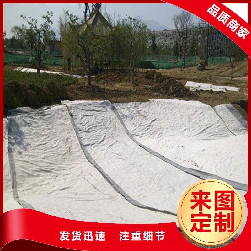 常德【当地】 膨润土防水毯一手货源