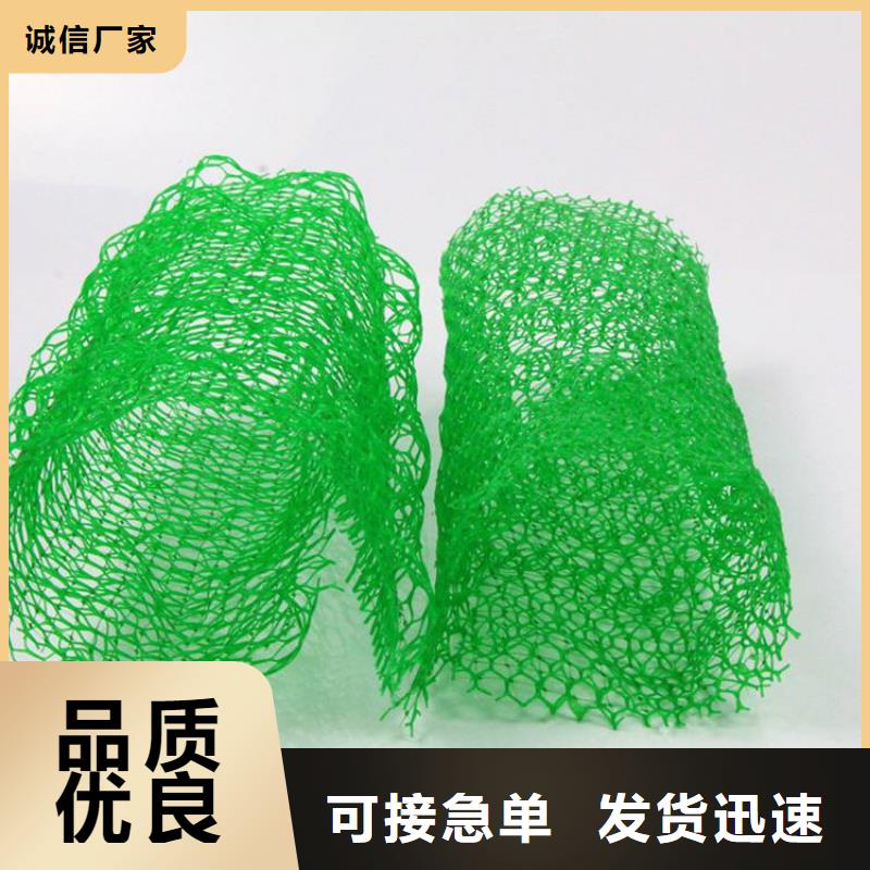 三维植被网_软式透水管好品质售后无忧