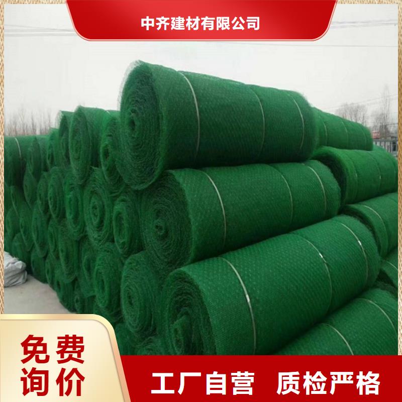 三维植被网-土工格栅发货及时