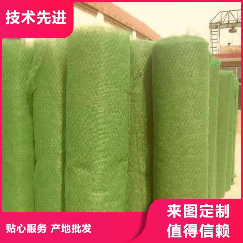 【三维植被网土工布标准工艺】