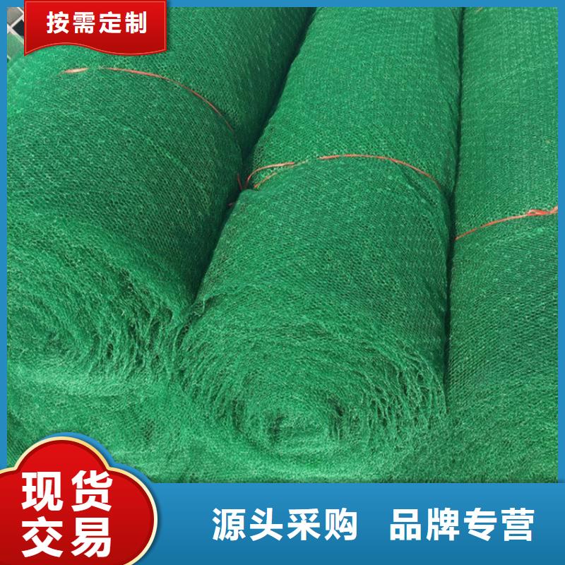 三维植被网_软式透水管好品质售后无忧