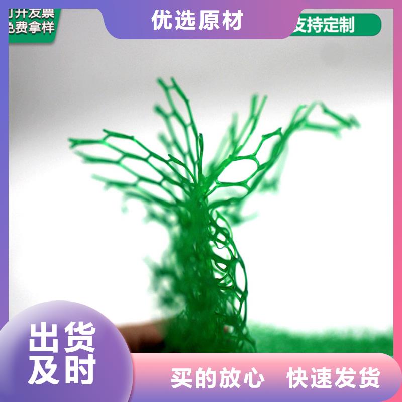 三维植被网_软式透水管好品质售后无忧