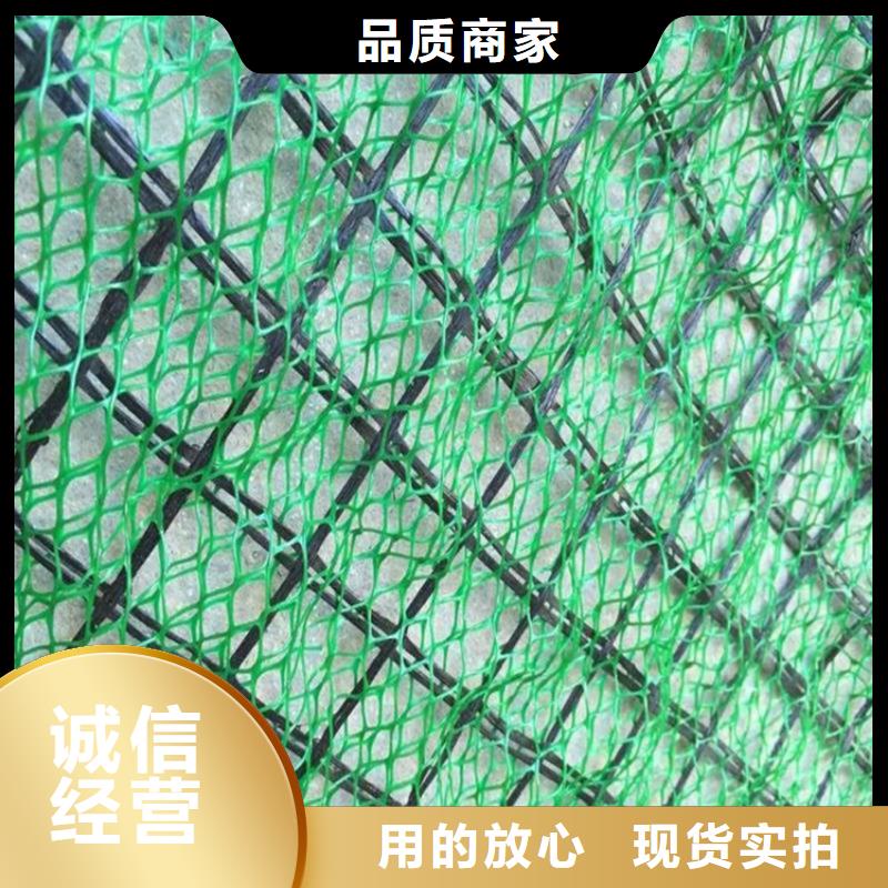 【三维植被网-土工膜海量现货直销】